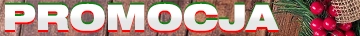 Promocja Świąteczna